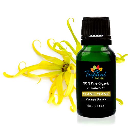 Ylang Ylang Oil